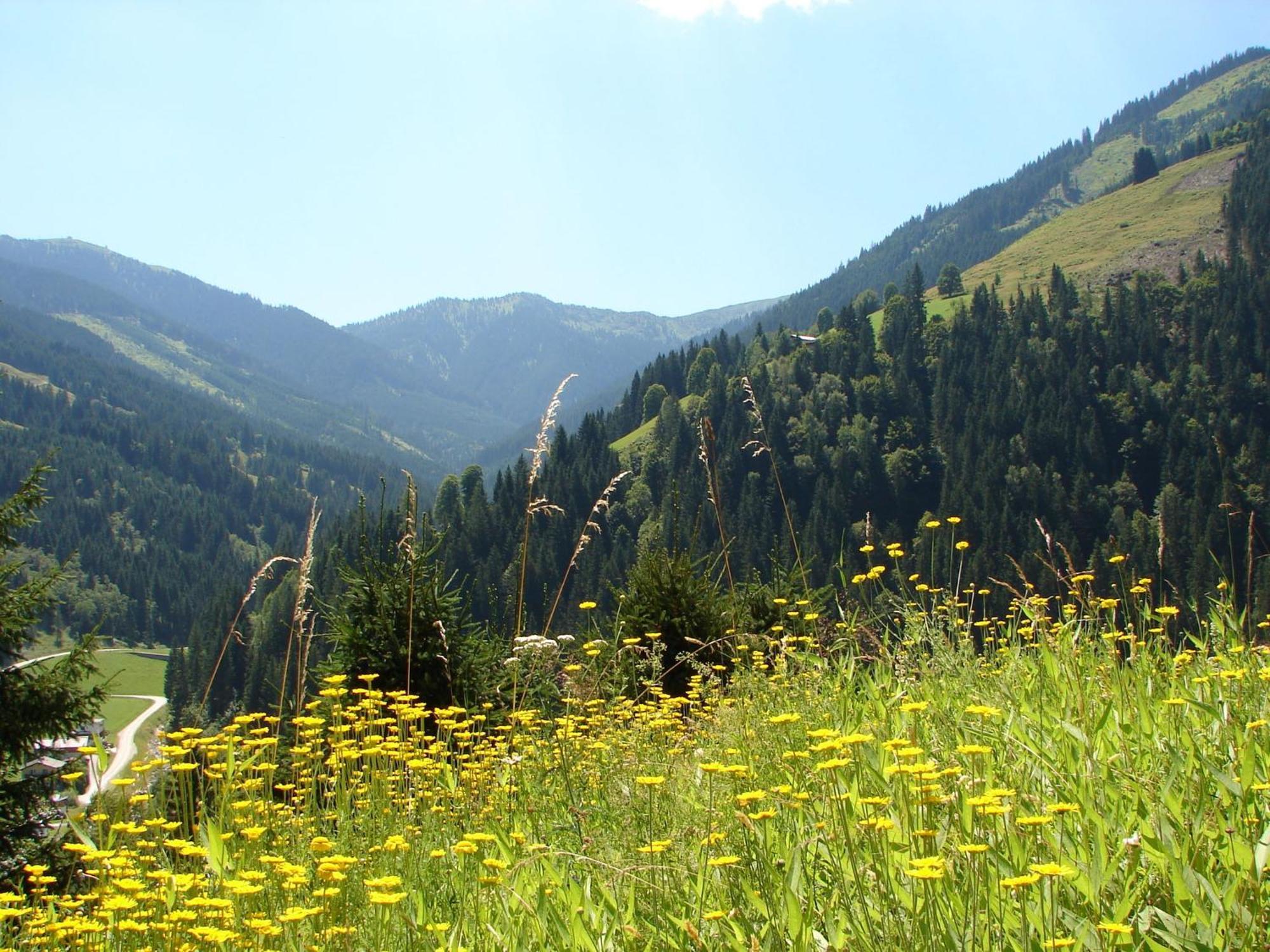 Chalet Huski Viehhofen Saalbach-Hinterglemm Exteriör bild